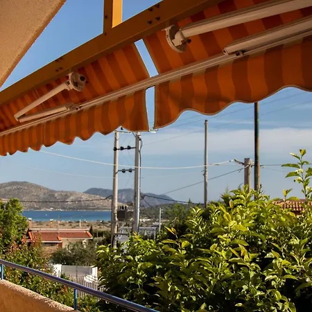 Lemon Tree Anavyssos