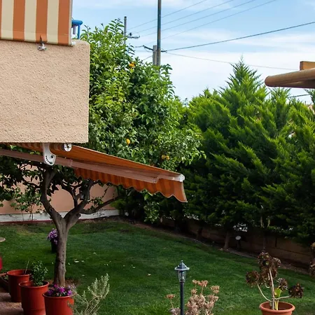 Vila Lemon Tree