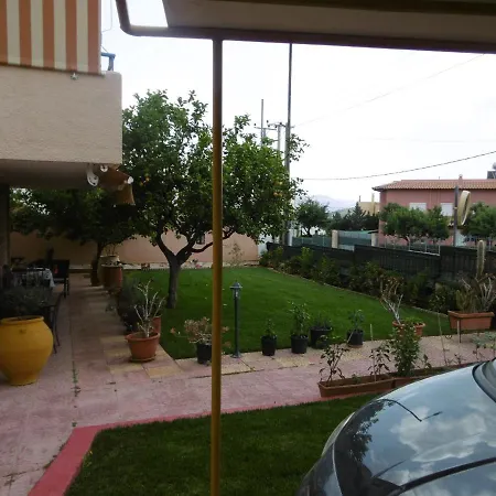 Lemon Tree