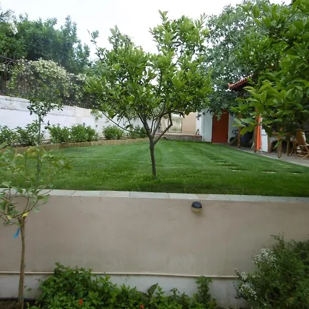 Lemon Tree Vila *