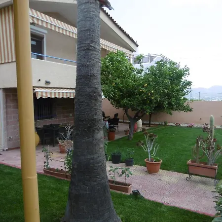 Lemon Tree