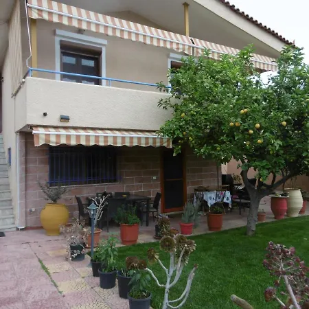 Lemon Tree *