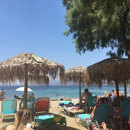 Vila Lemon Tree Anavyssos
