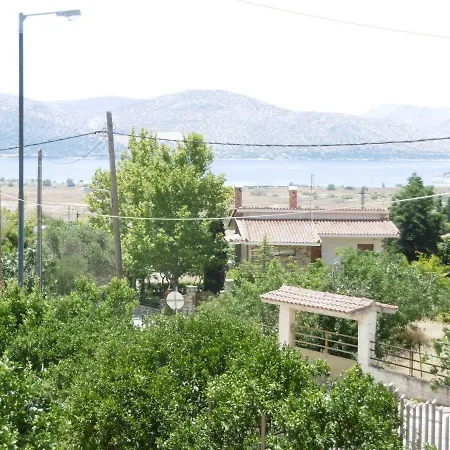 Lemon Tree