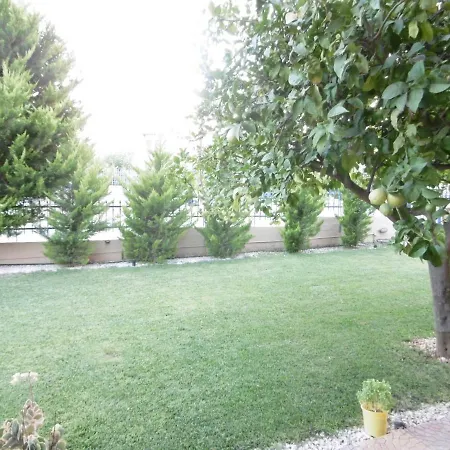 Lemon Tree *