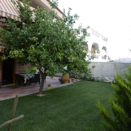 Lemon Tree Anavyssos