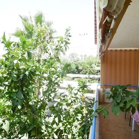Lemon Tree Vila