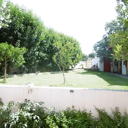 Vila Lemon Tree